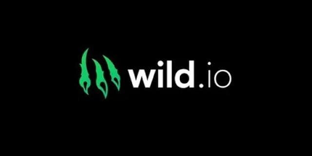 Wild.io logo